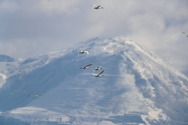 A656428D-15C0-40C6-907A-5E4F132F3024.jpeg