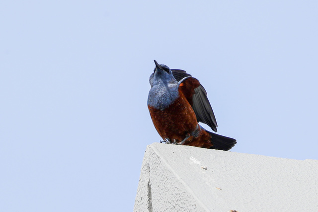 9E36846A-15E3-4AD8-96FF-F603631142FB.jpeg
